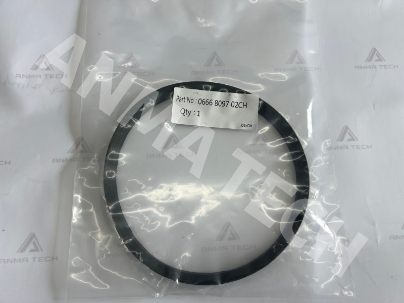 Axial Seal 0666809702