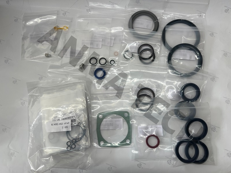 Seal Kit 3201195420