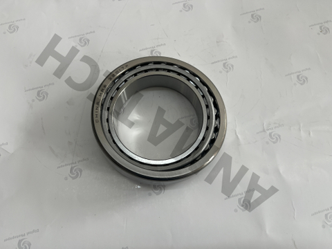 Roller Bearing 0509022200