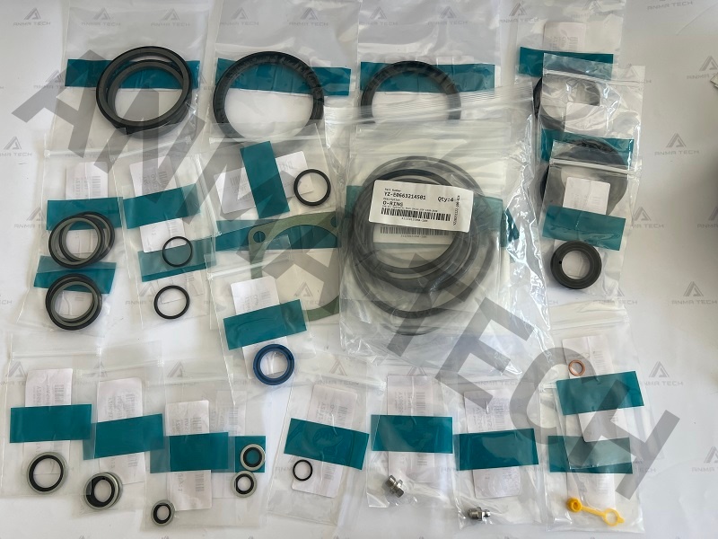 Seal Kit 3115901164