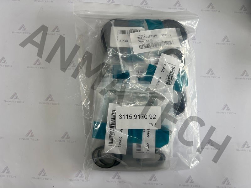Seal Kit 3115917092