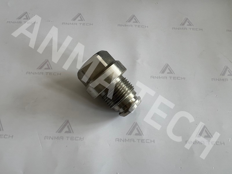 Flushing Adapter 3115344900
