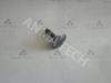 Diaphragm Support 3115290100