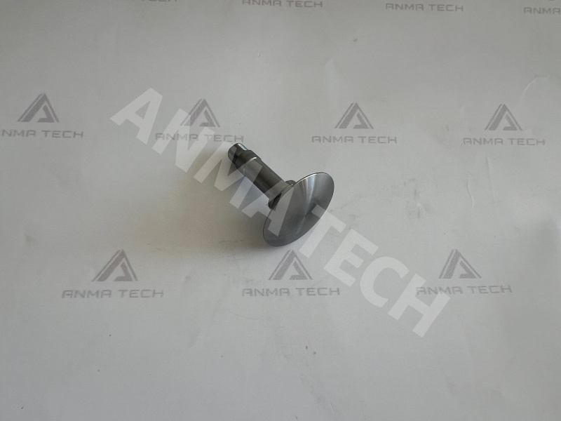 Diaphragm Support 3115290100