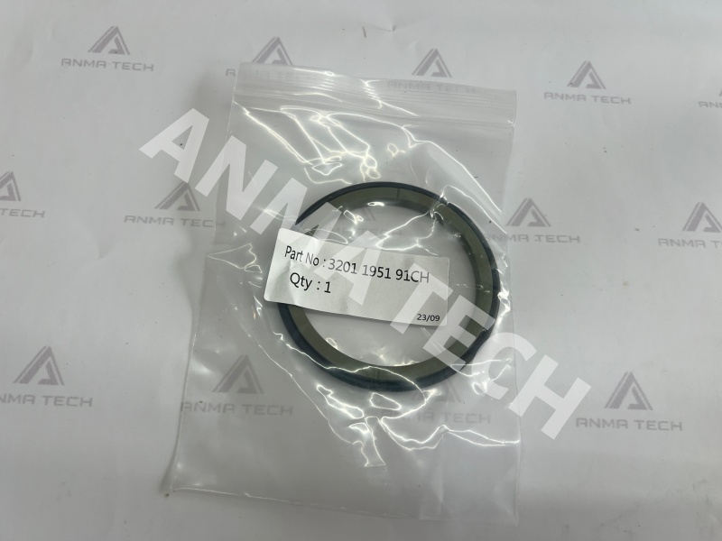 Seal Kit 3201195191