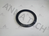 Disk Spring 3115536000