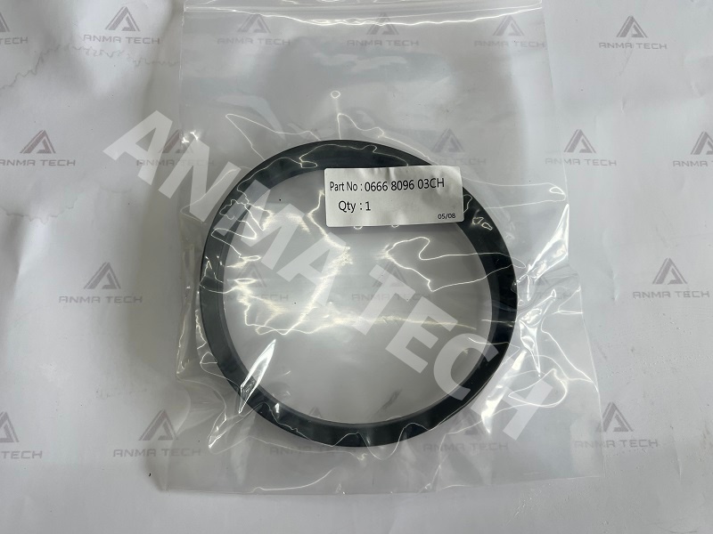 Axial Seal 0666809603