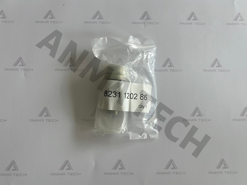 Check Valve 8231120306