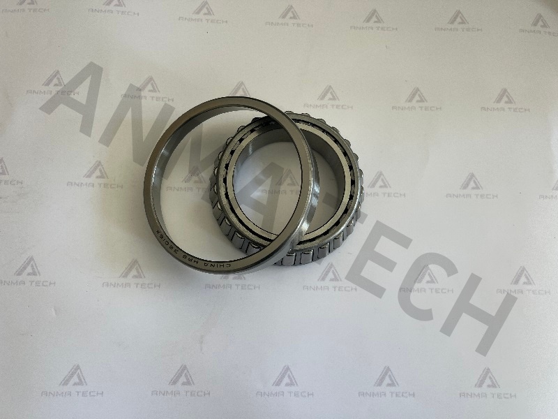 Roller Bearing 0509022100