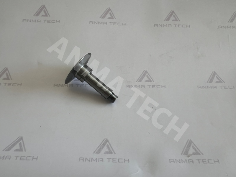 Diaphragm Support 3115290100