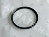 Axial Seal 0666809702