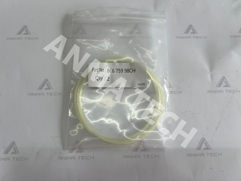 O-ring 86675998