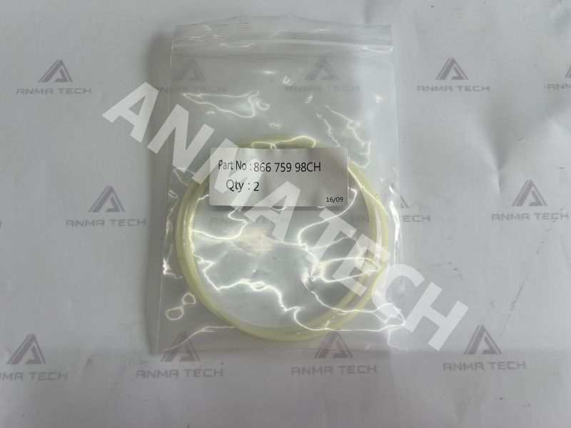O-ring 86675998