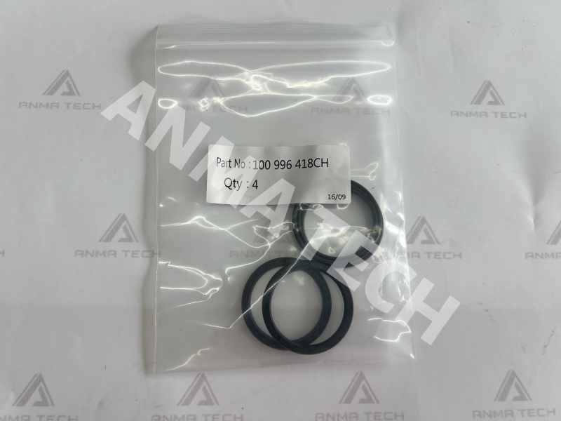 Lip Seal 100996418