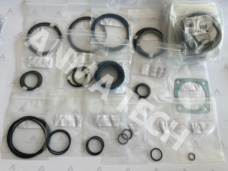 Seal Kit 3115915890