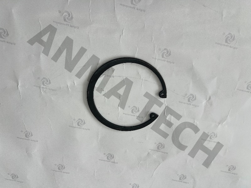 Circlip 0335217100