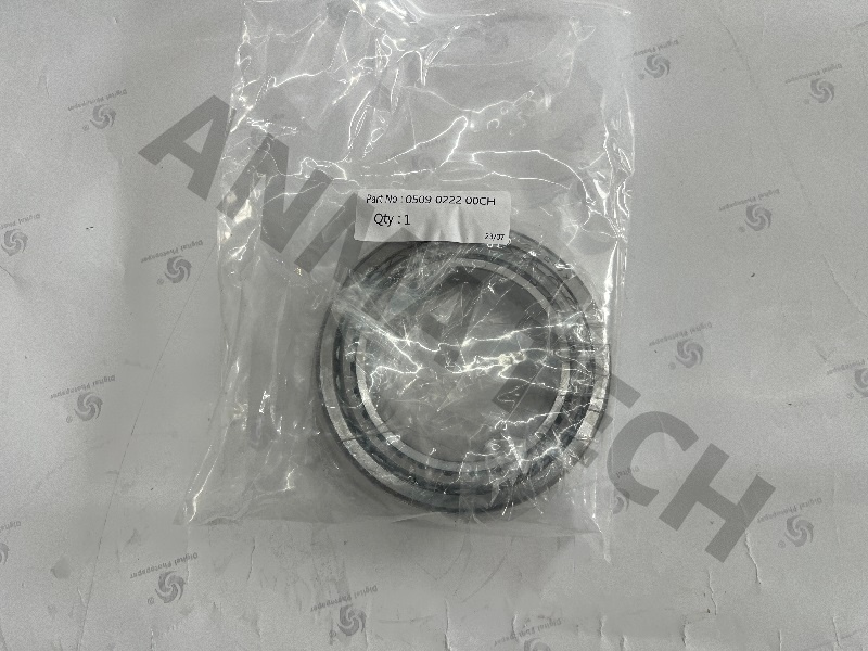 Roller Bearing 0509022200