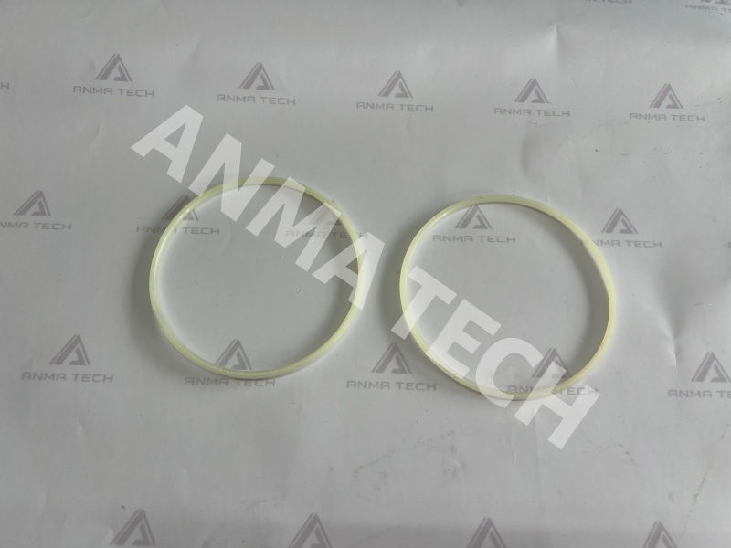 O-ring 86675998