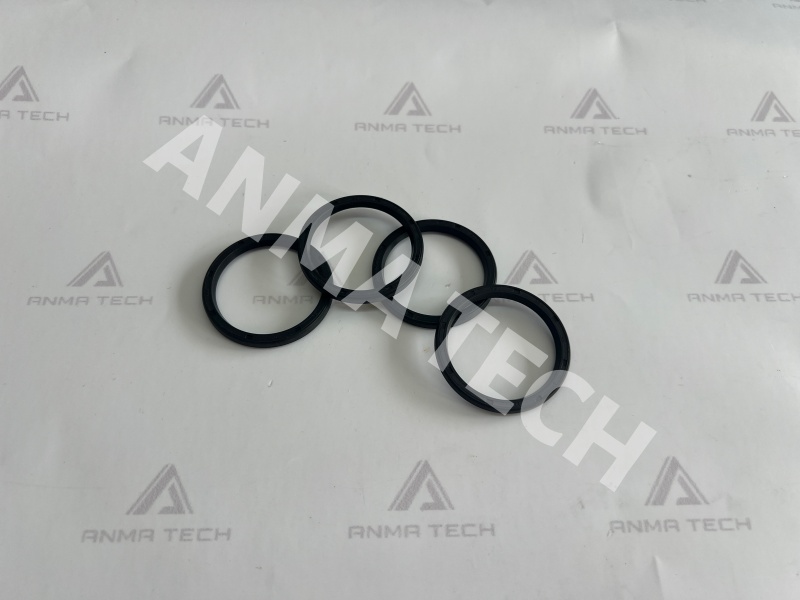 Lip Seal 100996418