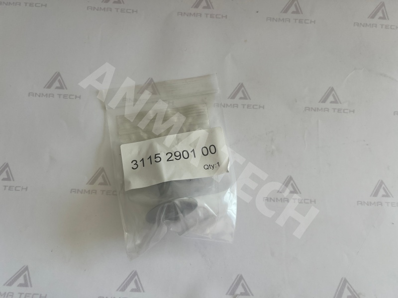 Diaphragm Support 3115290100