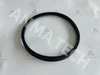 Axial Seal 0666809702