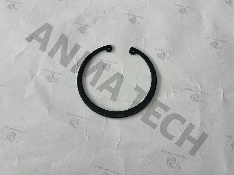 Circlip 0335217100