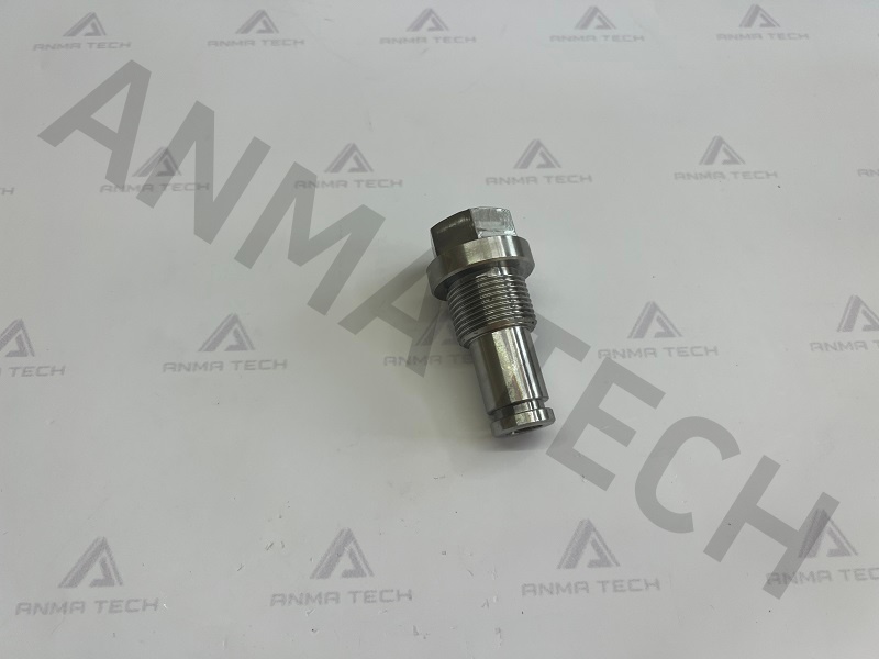 Flushing Adapter 3115325600