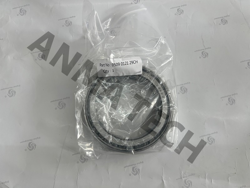 Roller Bearing 0509012129