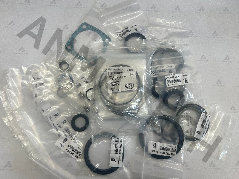 Seal Kit 3115915096